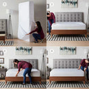 Waterproof and Dustproof Mattress Cover