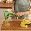 Practical Juice Squeezer