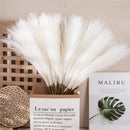 Arranjo de Flores Artificiais Capim dos Pampas Decoração