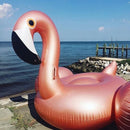 Boia Inflável de Piscina Flamingo