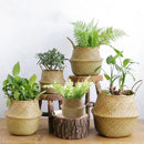 Straw Basket (wicker/rattan/seagrass) for Organization, Clothes, or Plants (pot)