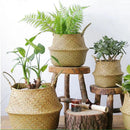 Straw Basket (wicker/rattan/seagrass) for Organization, Clothes, or Plants (pot)