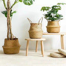 Straw Basket (wicker/rattan/seagrass) for Organization, Clothes, or Plants (pot)