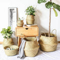 Straw Basket (wicker/rattan/seagrass) for Organization, Clothes, or Plants (pot)