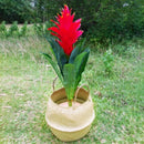 Straw Basket (wicker/rattan/seagrass) for Organization, Clothes, or Plants (pot)