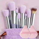 Brush and Sponge Sets