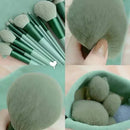 Brush and Sponge Sets