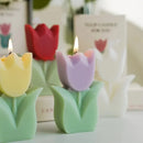 Scented Candle in Tulip Flower Shape