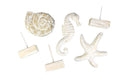 Home Decor Underwater Wooden Crafts