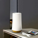 Dimmable Desk Lamp with 13 Colors Touch and Remote Control