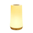 Dimmable Desk Lamp with 13 Colors Touch and Remote Control