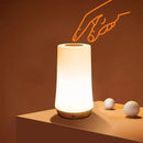 Dimmable Desk Lamp with 13 Colors Touch and Remote Control
