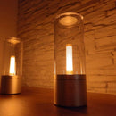 Decorative and Portable LED Table Lamp