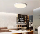 Smart Ceiling Light with Remote Control and App