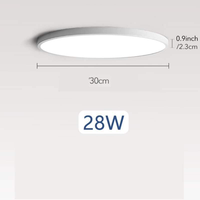 Smart Ceiling Light with Remote Control and App