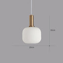 Retro Nordic LED Ceiling Light
