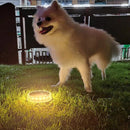 Luminária Solar de Jardim 4 Peças LED Impermeável