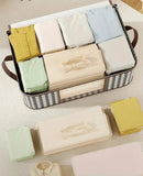 Domestic Clothing Organizer with Handles