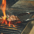 Pegador de Carne para Churrasco com Alça Antiderrapante