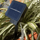 Solar LED String Lights with Copper Wire