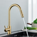 Premium Kitchen Faucet