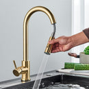 Premium Kitchen Faucet