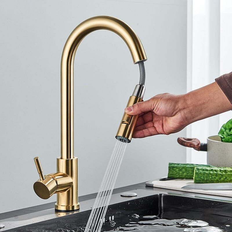 Premium Kitchen Faucet