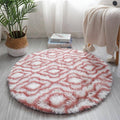 Extra Soft Plush Rug for Living Room