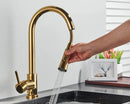 Premium Kitchen Faucet