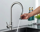 Premium Kitchen Faucet