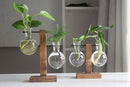 Transparent Bulb Vase with Wooden Stand