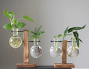 Transparent Bulb Vase with Wooden Stand