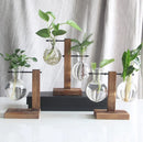 Transparent Bulb Vase with Wooden Stand